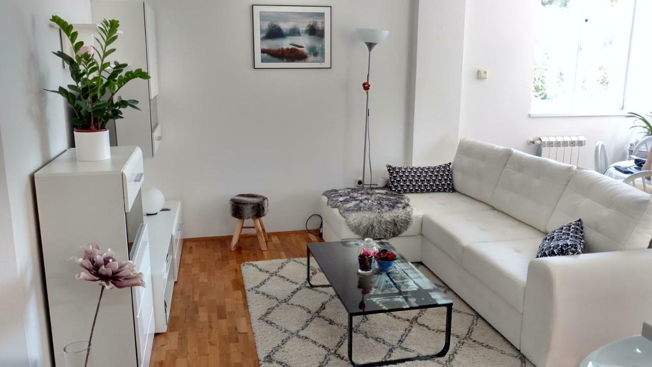Apartman Eli 罗维尼 外观 照片